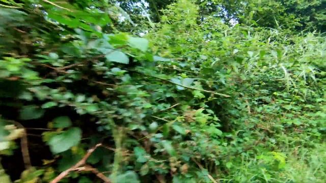 Confluence REST API - Create post mortem report смотреть онлайн