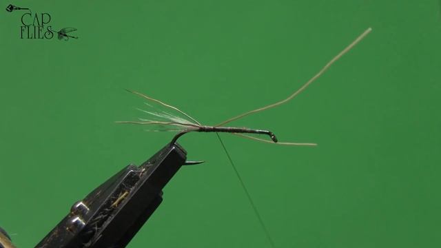 ? Ecdyonurus Venosus Hatching and Fly Dressing with G.Zingaro ? смотреть онлайн