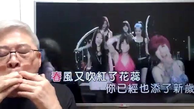 往事只能回味-韓寶儀(DJ版)(口琴獨奏伴卡拉OK) Michael Gor смотреть онлайн