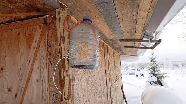 5 минут синичек, которые едят семечки из нашей кормушки | Жизнь в деревне смотреть онлайн