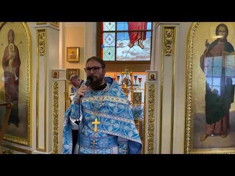 Исцеление бесноватого отрока. Проповедь на воскресное евангельское чтение. Свящ. Алексей Туголуков смотреть онлайн