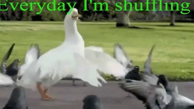 Танцующий гусь смотреть онлайн