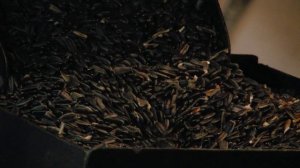 Цех по изготовлению подсолнечного масла