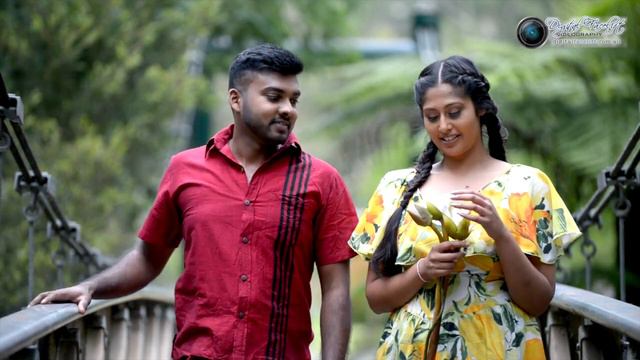 සඳ ඇවිලේ - Song of a burning moon By Theja Perera смотреть онлайн