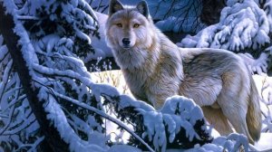 В лесу родилась ёлочка ?