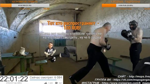 КЛИМ ОПЯТЬ ОБОССАЛ МОПСА В СПАРИНГЕ! смотреть онлайн