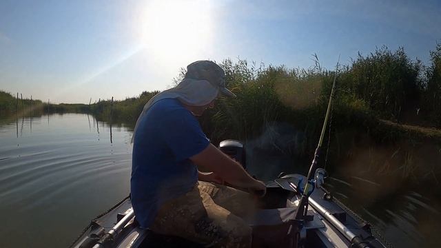 Сартлан 2020: Сазаний рай смотреть онлайн