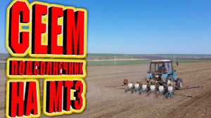 Посевная подсолнечника Clearfield® Plus / Пропашная сеялка СУПН-6 на трактор МТЗ-82.