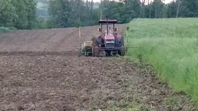 Planting corn in the mud смотреть онлайн