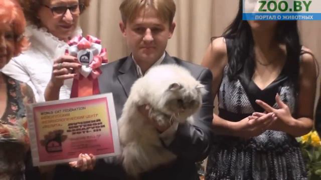 Лучший котенок Беларуси 2011. 3 место смотреть онлайн