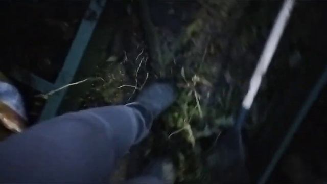 8м, 3грядка, 1,2,3,4 секции. (Осень 2023,ноябрь) смотреть онлайн