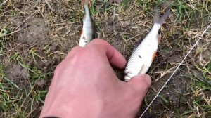 Рыбалка на паук подъёмник малявочник