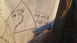 МР-153 : тотальный отстрел и сравнение насадок