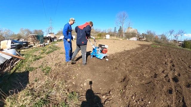 Культивируем поле мотоблоком нева. смотреть онлайн