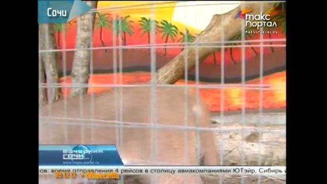 Сочи стал местом действия сказки о Кае и Герде смотреть онлайн