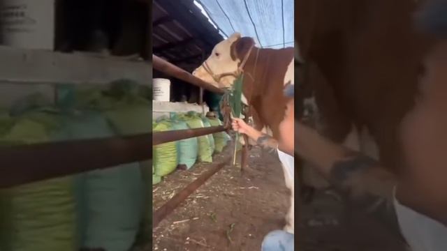 обиделась смотреть онлайн