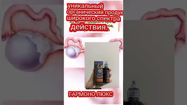 Глобал тренд Global trend Гармония люкс смотреть онлайн