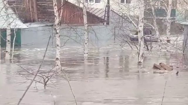 Алтай топит не шуточно смотреть онлайн