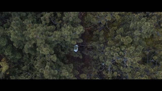 Наш свадебный день смотреть онлайн