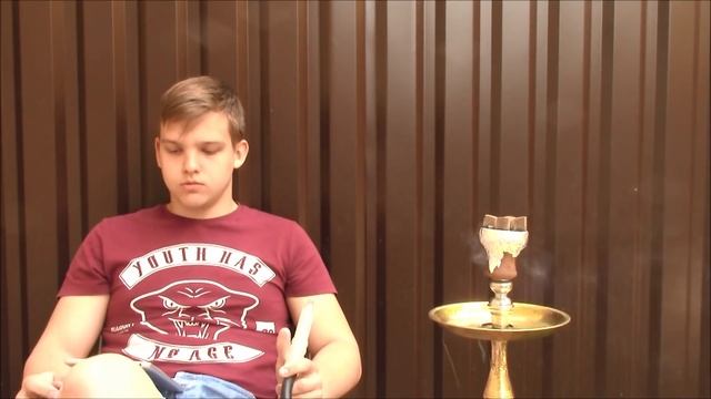 Какой выбрать кальян/чашу/шланг новичку смотреть онлайн