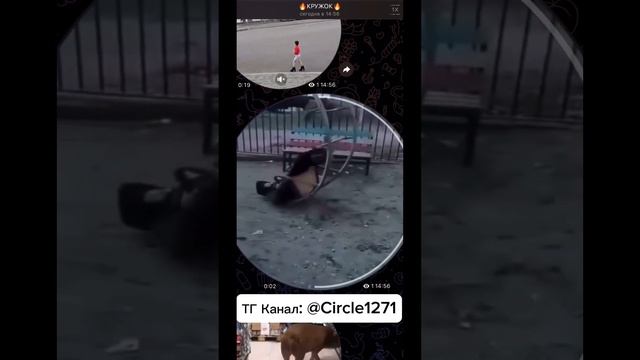 ТГ Канал: @Circle1271 #кружок #кружочки смотреть онлайн