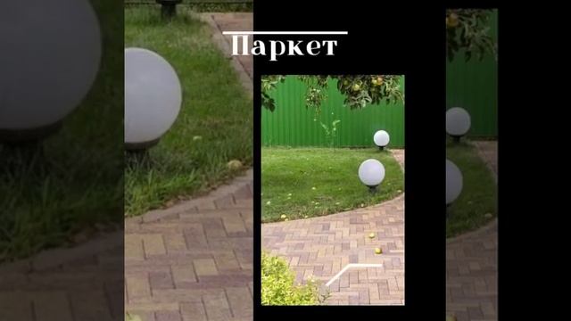 Тротуарная плитка Белореченск смотреть онлайн