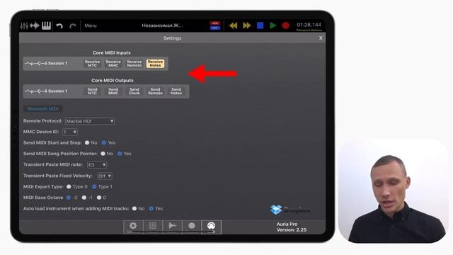 iPad + Auria Pro - профессиональная студия звукозаписи. Обзор DAW. Сведение на iPad. Звукорежиссёр смотреть онлайн