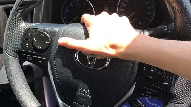 2018 Toyota RAV4 GX AWD Horn смотреть онлайн