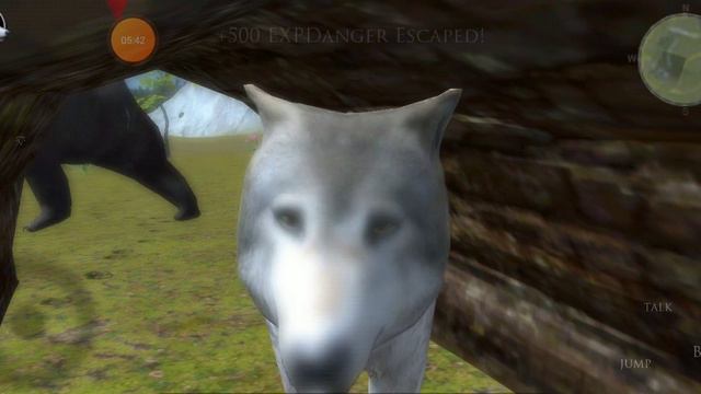 Это баг а очень поможет вам в прокачке! в Ultimate Wolf Simulator 2 смотреть онлайн