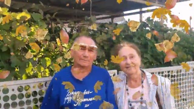 Листья осыпаются в саду смотреть онлайн