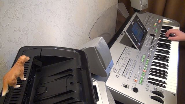 Happy Nation on Tyros 3 смотреть онлайн