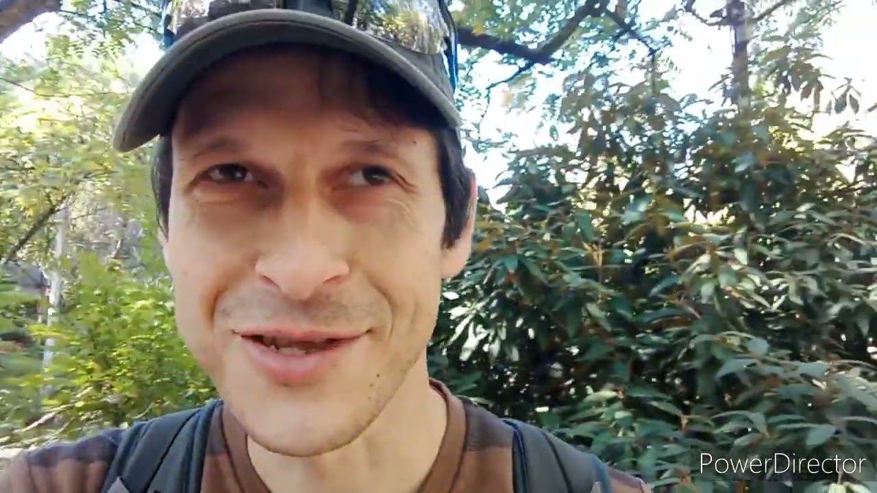 Сафари парк в Краснодаре смотреть онлайн