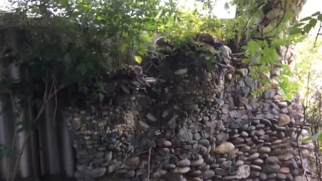 Видео дома смотреть онлайн