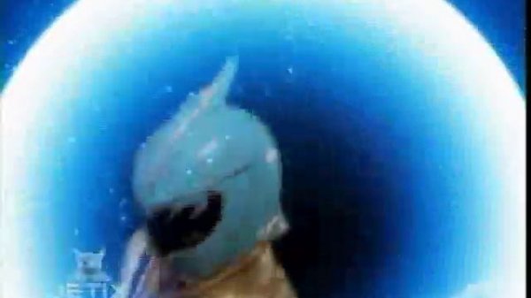 Lion Staff Code 1 | Mystic Force | Power Rangers Official