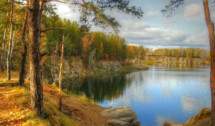 Течет чистая вода, атмосфера лесной реки ✦ Успокаивающие Звуки ✦ Relax Sleep смотреть онлайн