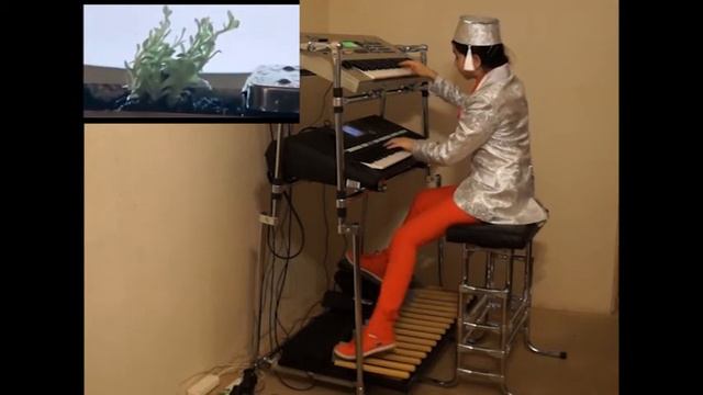 Слушая Баха (Земля) Артемьев Э.Н. смотреть онлайн