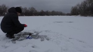 Невероятный зимний сазан из лунки! Карпфишинг зимой.