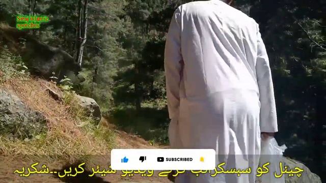 Beautiful Places In Upper Dir Check Now #vlogs #beautifulplaces #Sirajislamicspeeches