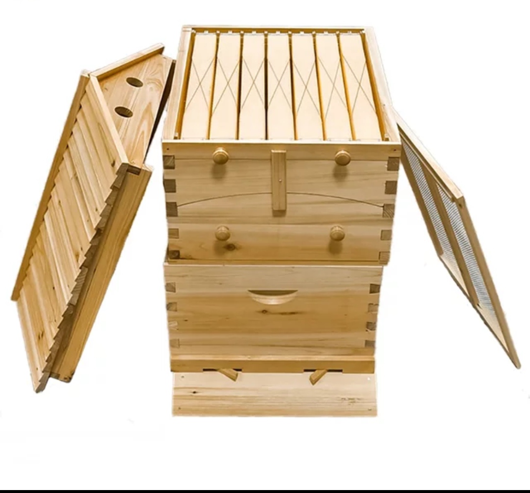 Обзор улья Flow Hive, китайская версия