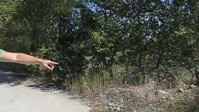 Люди - свиньи!!! смотреть онлайн