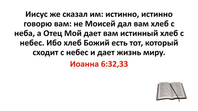 Библия, Новый Завет. Иоанна 6:32,33 смотреть онлайн