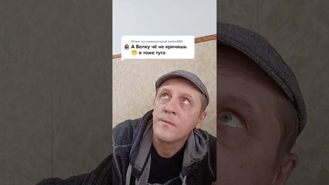 Белочка ....mp4 смотреть онлайн