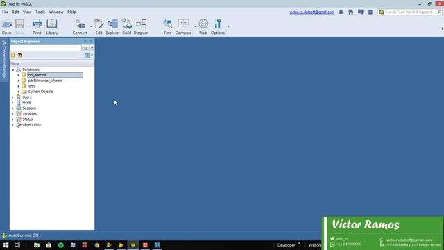 Conociendo el Toad for Mysql usado para Mysql y MariaDB For VFP смотреть онлайн