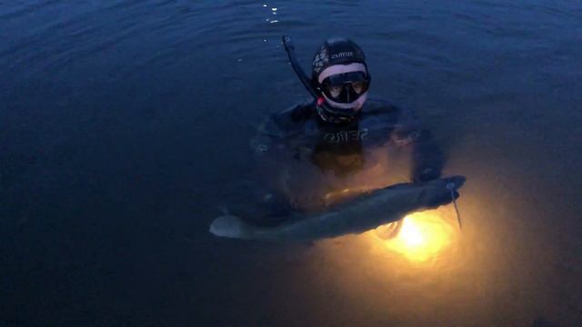 Подводная охота на судака.В поисках трофейного судака.Подводная охота на реке Белая в Башкирии. смотреть онлайн