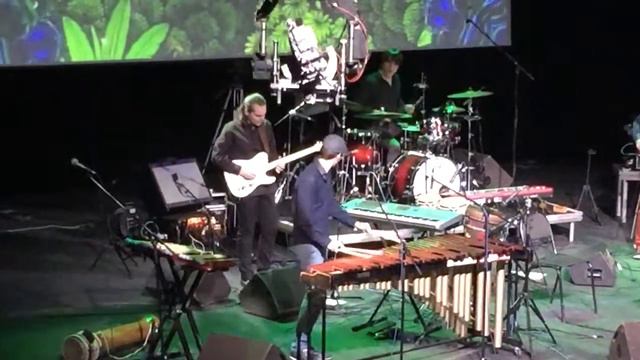 Marimba Plus - Denis Nazarov guitar solo смотреть онлайн