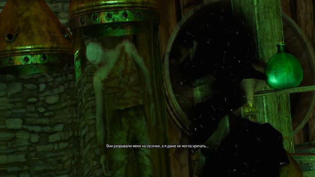The Witcher 3 Wild Hunt #17 - Коломница...