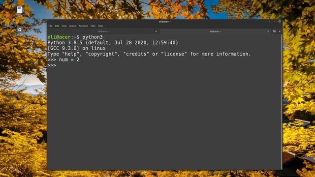 While loops in python смотреть онлайн