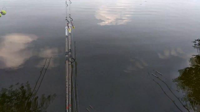 Зеркальный Карп Кубань смотреть онлайн