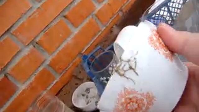 Привезла посуду СССР из деревни . Что мне отдали за ненадобностью . смотреть онлайн
