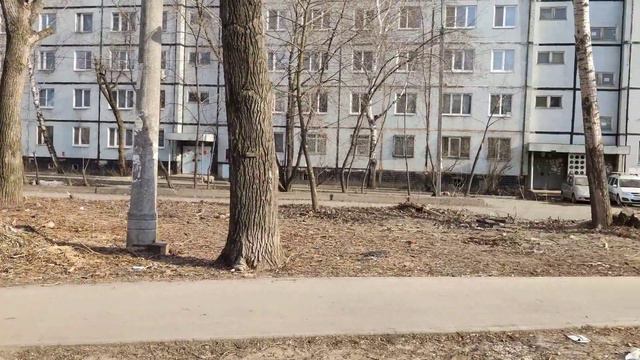 Казань, ул. Гор советская 10 к. 1 (у входа) смотреть онлайн